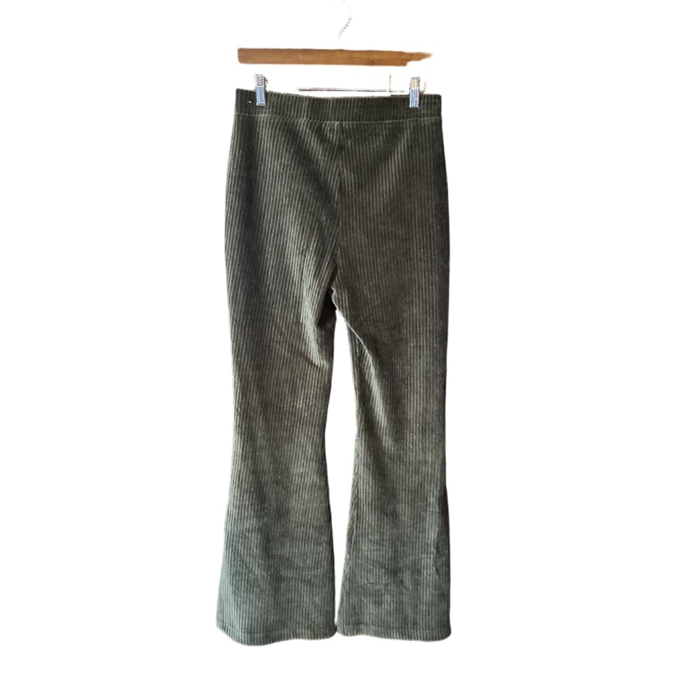 Aerie Medium Green Velvet Elastic Pants - Picture 8 of 16